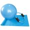 Bola da estabilidade do Gym dos PP da VÉSPERA dos esportes do bloco das bolas 65cm da massagem da ioga de TPR